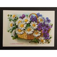 Куртенко 1980