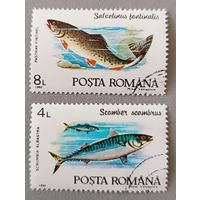 Рыба. Румыния, 1992