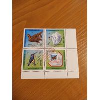 1999 Беларусь фауна угловой квартблок чистый клей MNH** (1-л1)