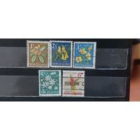 РАСПРОДАЖА НОВАЯ ЗЕЛАНДИЯ 1971г. Гаш.