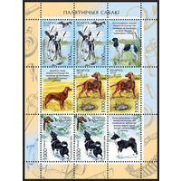 Малый лист "Русский охотничий спаниель", "Ирландский сеттер", "Русско-европейская лайка"