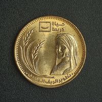 Египет 50 пиастров, 2021 Развитие Египетской сельской местности