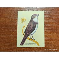 Спичечная этикетка Южный Соловей