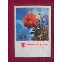С Праздником Октября! Анфингер 1970 г. Чистая. Кр1.