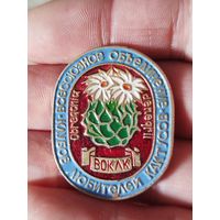 Клуб любителей кактусов