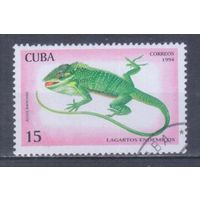 [1071] Куба 1994. Фауна.Ящерица. Гашеная марка. 1