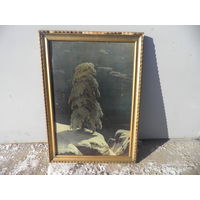 Картина На севере диком.Шишкин репродукция на картоне 70-е г.С рубля.