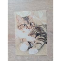 Календарик 1993