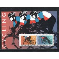 США-1996 (Мих.Бл.38) ,  * (небольшая помятость) ,  Спорт, Велоспорт , Велосипеды