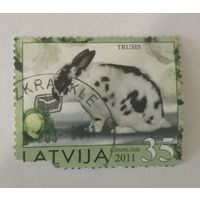 Год кролика (поврежденная марка)