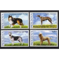 Молдова 2006. Фауна. Собаки 4 марки(273)