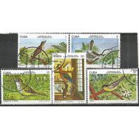 Куба. Птицы. 1978г. Mi#2280-87. Серия.
