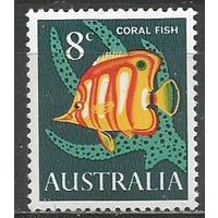 Австралия. Птицы. Длиннорылая рыба. 1966г. Mi#365.