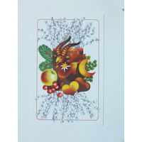 Лапиня  новогодняя открытка 1982  9х14 см