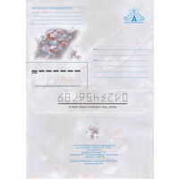 Беларусь 2004 Ветка рябины в снегу (к4)