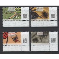 Польша 2013** Фауна Насекомые Пауки