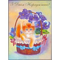 2003 ДМПК Беларусь котёнок С днём рождения !