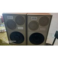 Колонки 25ас-109