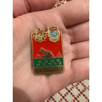 Брянск СССР ЗНАЧОК С РУБЛЯ