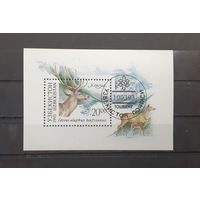 Узбекистан. 1993 год. Фауна. Олени (блок) (2371)