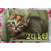 Календарик 2016г..Котенок