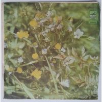 ЕР Джаз-оркестр Днiпро, дир. Г. Гачечиладзе – Фантазия На Темы Песен Шамо (1965)