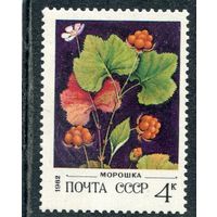 СССР 1982. Флора. Ягоды. Морошка