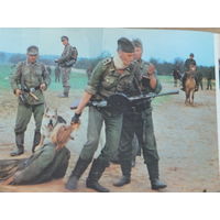 Буклет  Иди и Смотри   1985 г