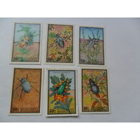 Монголия, жуки