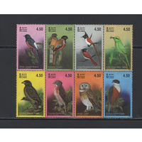 Фауна Птицы Шри-Ланка 2003 Тропические птицы острова Шри-Ланка