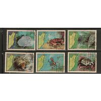 Белиз-1982(Мих.654-659) , гаш. , Морская  Фауна, , Рыбы (полная серия)