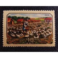 Марка СССР 1956 год Сельское хозяйство Птицеферма