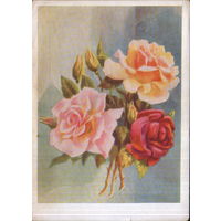 Чистая открытка 1959г. "Розы" худ. К. Лебедев