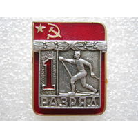 Лыжи, 1 разряд.