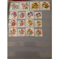 Флора Бурунди полная кат 7 евро