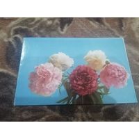 Поздравляю! Художник Б. Столяров 1976 год