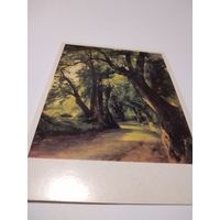 Открытка 1985г. Художник М. Лебедев. Аллея в Альбано.