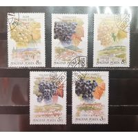 Венгрия. 1990 год. Флора. Виноград (1569)