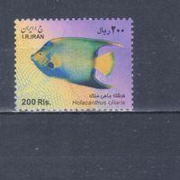 [34] Иран 2009. Фауна.Рыба.200 р. Гашеная марка.