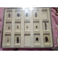 Коллекционные ''Насекомые и их Знакомые'