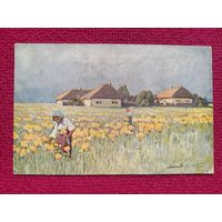Украина. Хутор. Зарубин. 20-30 гг. СССР. Чистая. Кр1.