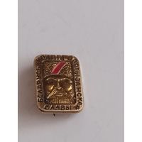 Значок Беларусь краина партызанскай славы