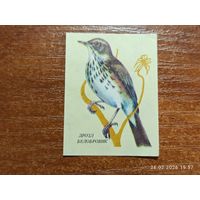 Спичечная этикетка Дрозд Белобровик
