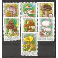 ФФ1 Венгрия 1984 Грибы