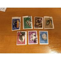 1964 СССР Загорский 2964-2970 флора полная серия клей MNH** (с-9)