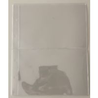 Листы для банкнот 200х250 мм на 2 боны формат Оптима