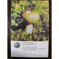 Календарик Прибалтика Сыроежка