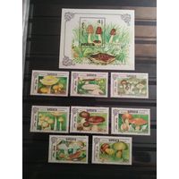 Монголия 1990 г. Грибы.