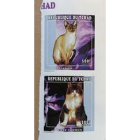 Марка Чад 2010 г., Марки без перфорации (беззубцовые),  фауна, кошки