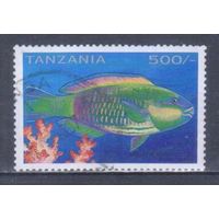 [206] Танзания 1996. Фауна.Рыбы. Концовка серии.Гашеная марка.